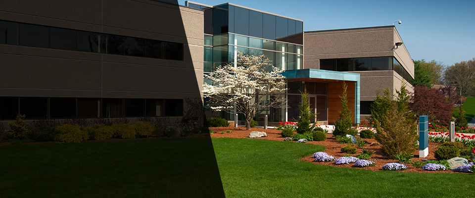 Rockford Landscapers